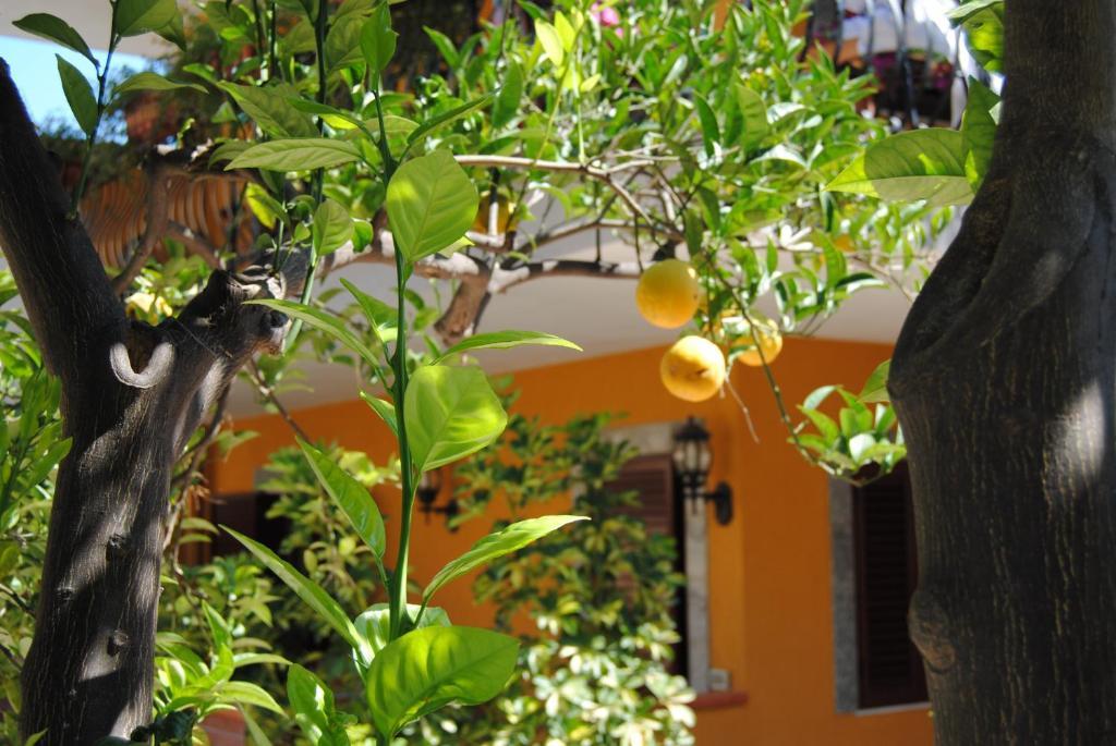 Residence Villa Il Glicine Taormina Exteriör bild