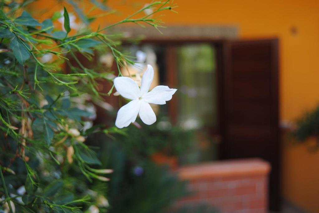 Residence Villa Il Glicine Taormina Rum bild