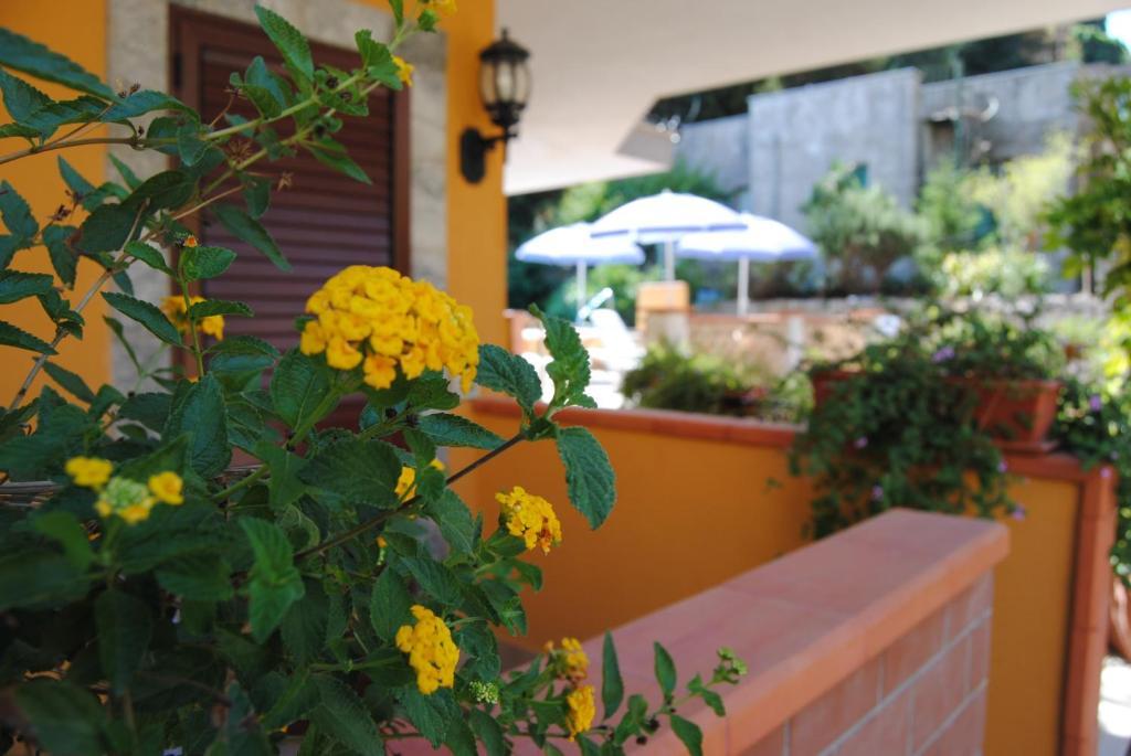 Residence Villa Il Glicine Taormina Rum bild